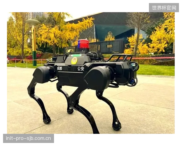 当机器狗无处不在时，体育场馆的公共安防与个人隐私之间的界限应如何界定？